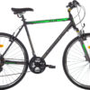 ORIENT PULSE MAN 28" 21sp.