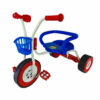 Παιδικό Τρίκυκλο Ποδήλατο Family